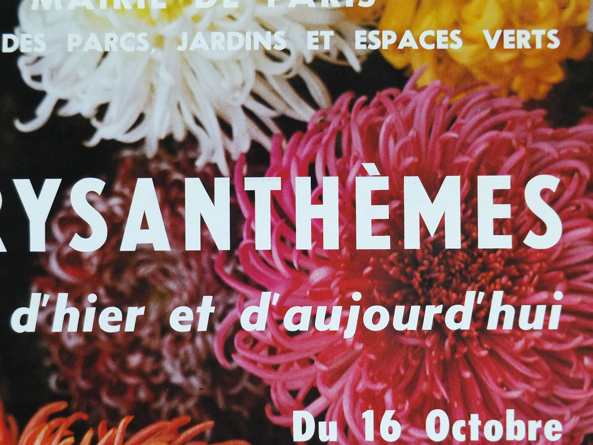 1980s Chrysanthemum Poster, Mairie de Paris Flower Show, 16th arrondissement of Paris, Garden botanical flora plants blooms, wall art decor