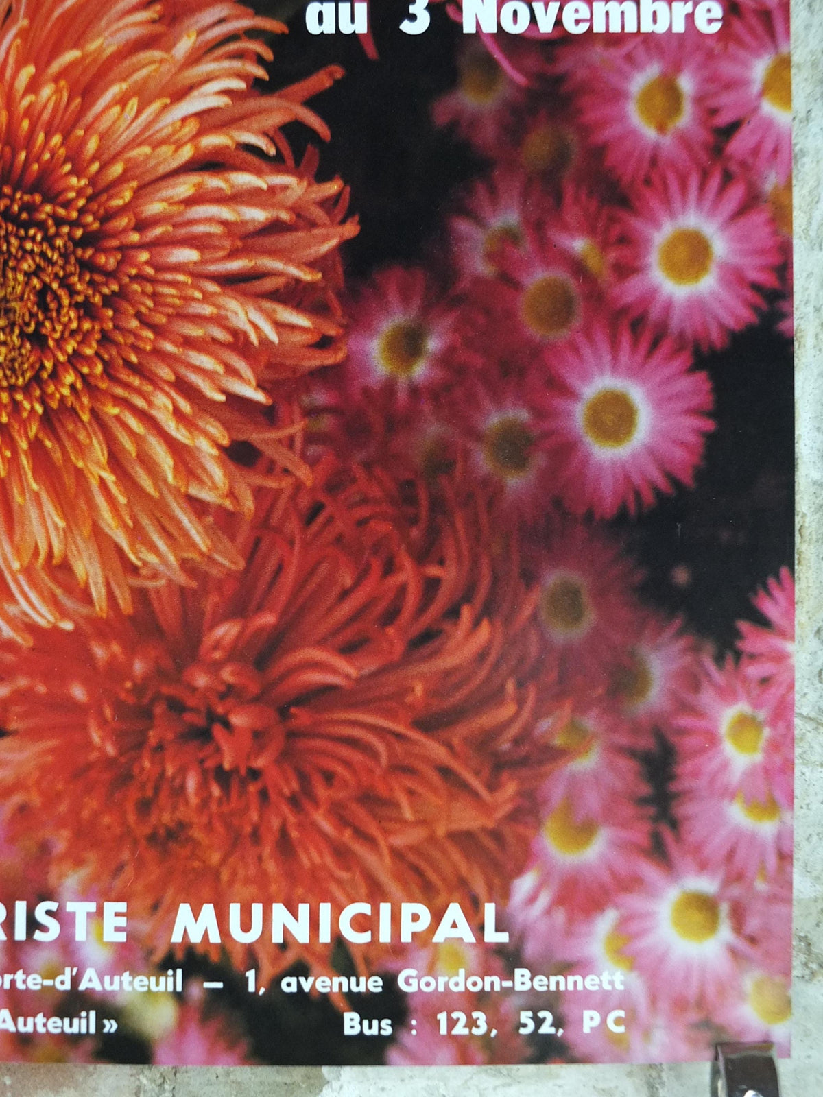 1980s Chrysanthemum Poster, Mairie de Paris Flower Show, 16th arrondissement of Paris, Garden botanical flora plants blooms, wall art decor