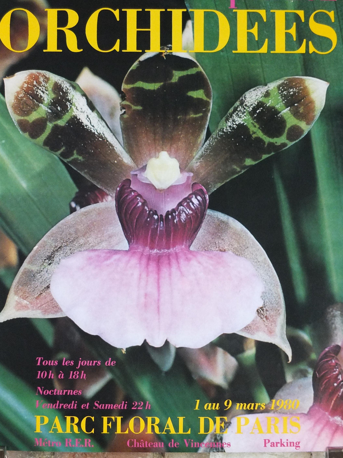1980 Orchids Poster, Mairie de Paris Flower Show, Parc Floral de Paris, Garden botanical flora plants blooms, wall art decor