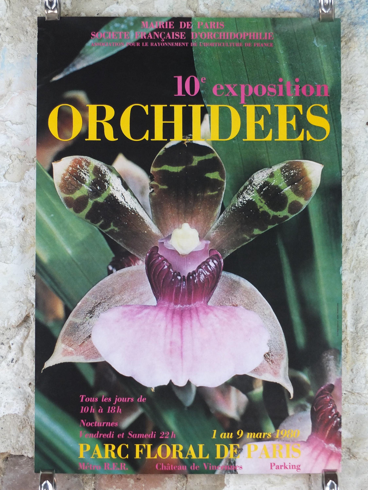 1980s Orchids Poster, Mairie de Paris Flower Show, 10th arrondissement of Paris, Garden botanical flora plants blooms, wall art decor