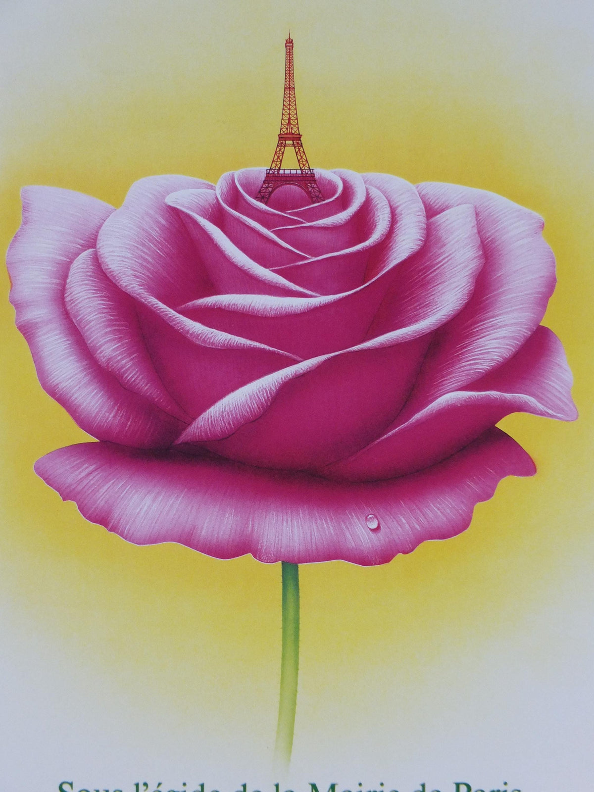 1984 Rose Eiffel Tower Poster, Mairie de Paris Flower Show, Parc Floral de Paris, Garden botanical flora plants blooms, wall art decor