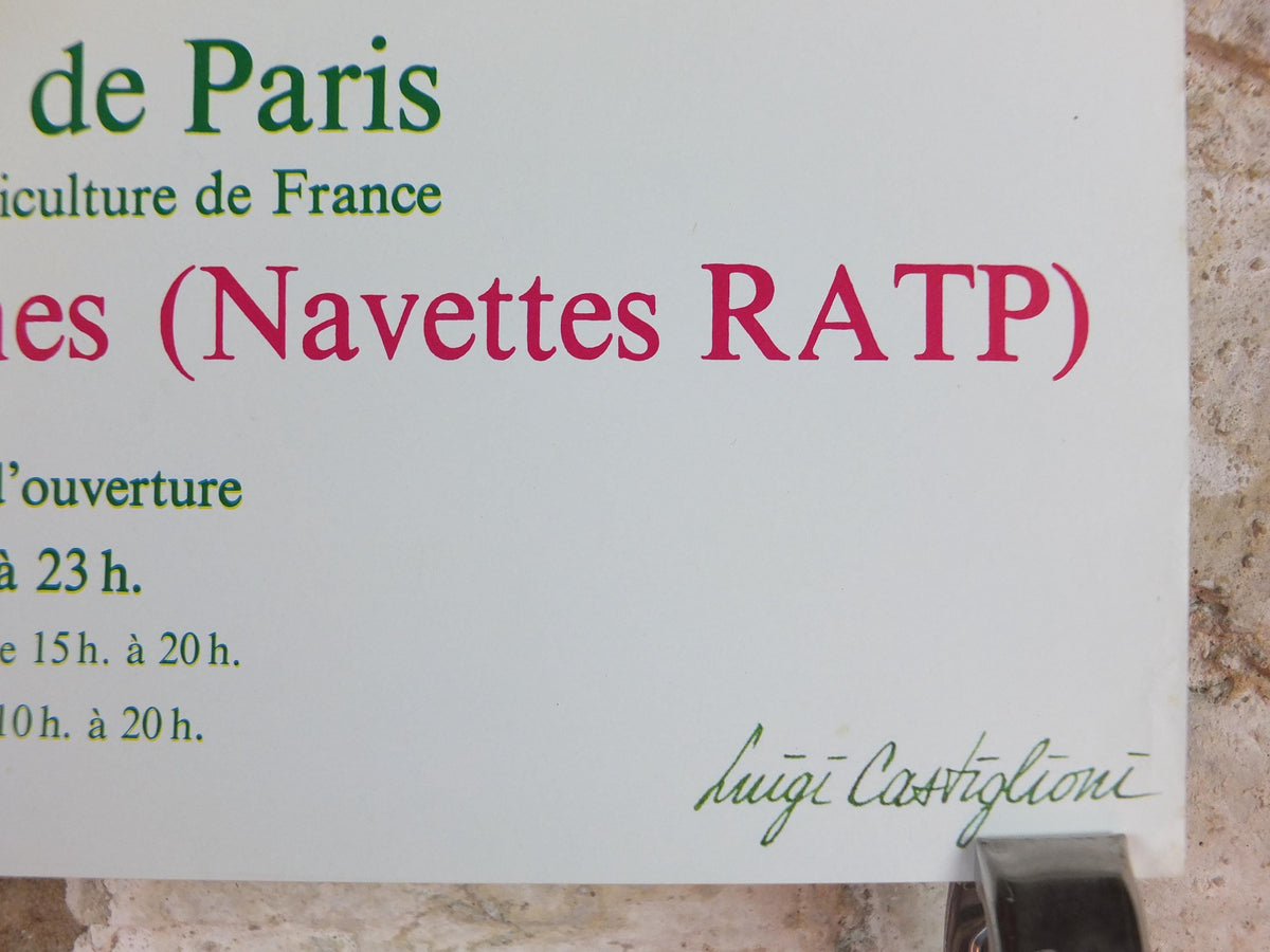 1984 Rose Eiffel Tower Poster, Mairie de Paris Flower Show, Parc Floral de Paris, Garden botanical flora plants blooms, wall art decor