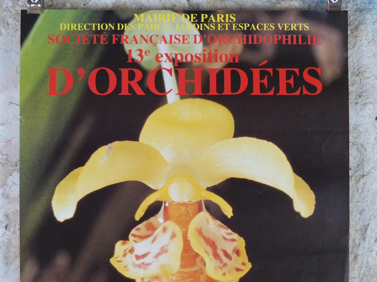 1983 Orchids Poster, Mairie de Paris Flower Show, Parc Floral de Paris, Garden botanical flora plants blooms, wall art decor