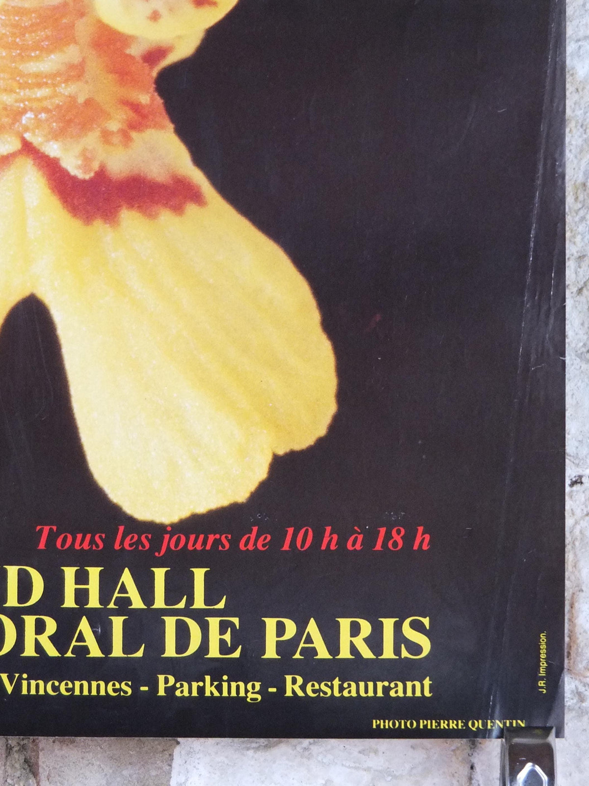 1983 Orchids Poster, Mairie de Paris Flower Show, Parc Floral de Paris, Garden botanical flora plants blooms, wall art decor