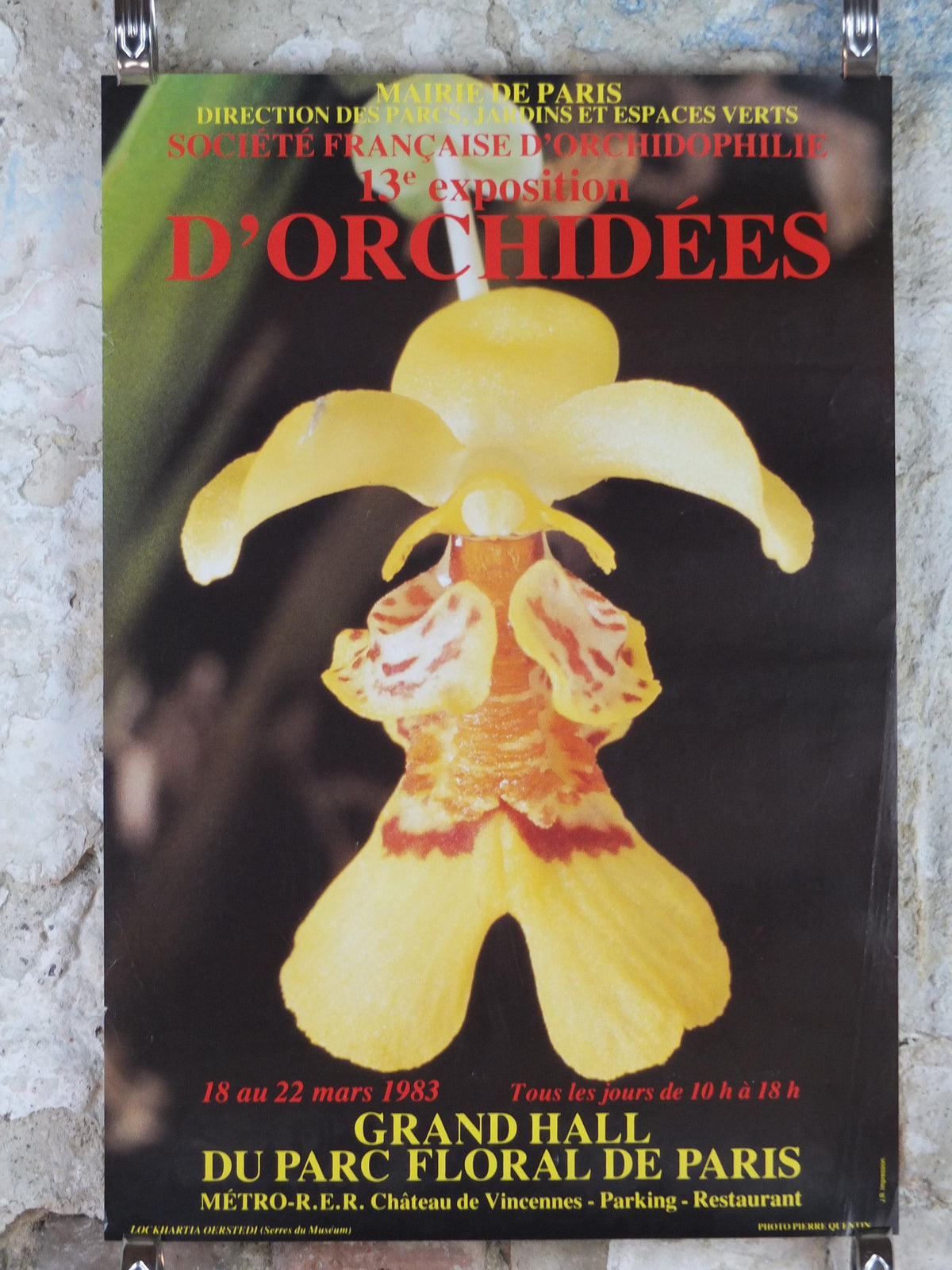 1983 Orchids Poster, Mairie de Paris Flower Show, Parc Floral de Paris, Garden botanical flora plants blooms, wall art decor