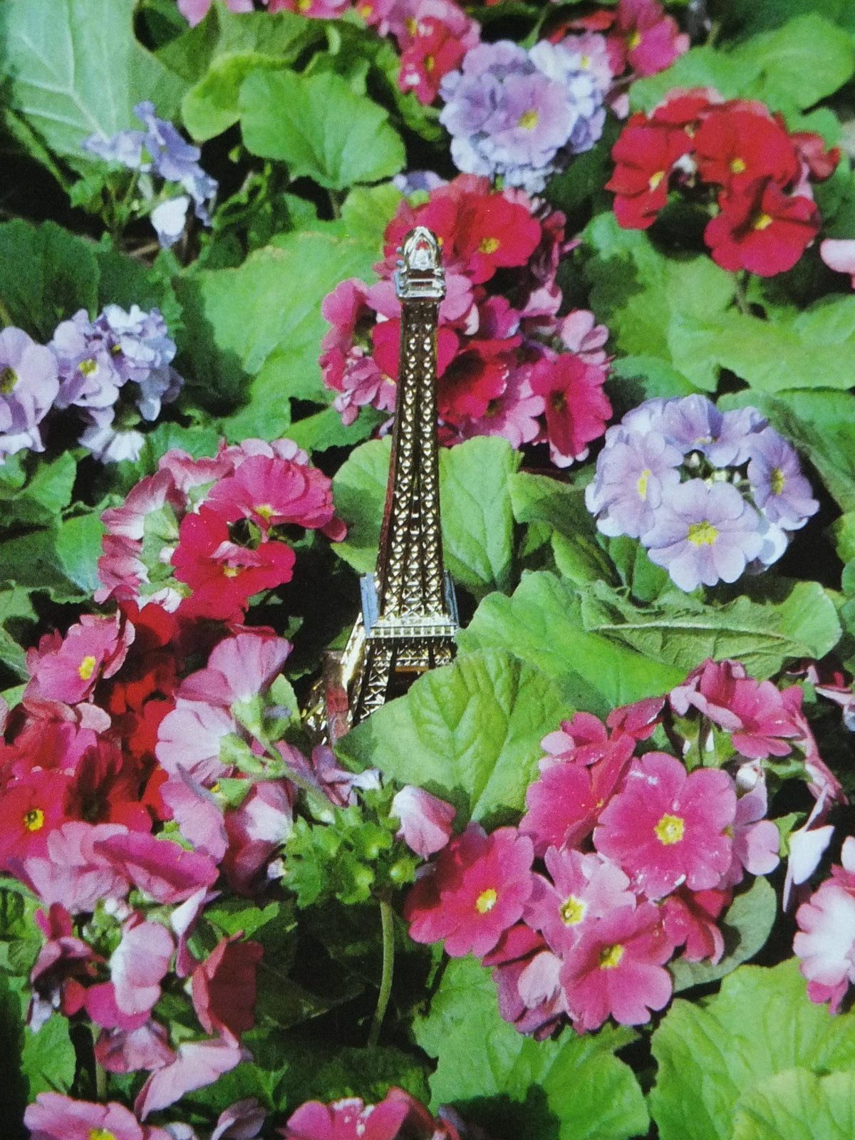 1984 Gardens of Paris Poster, Primula Mairie de Paris Flower Show, Trianon Paris, Garden botanical flora plants blooms, wall art decor