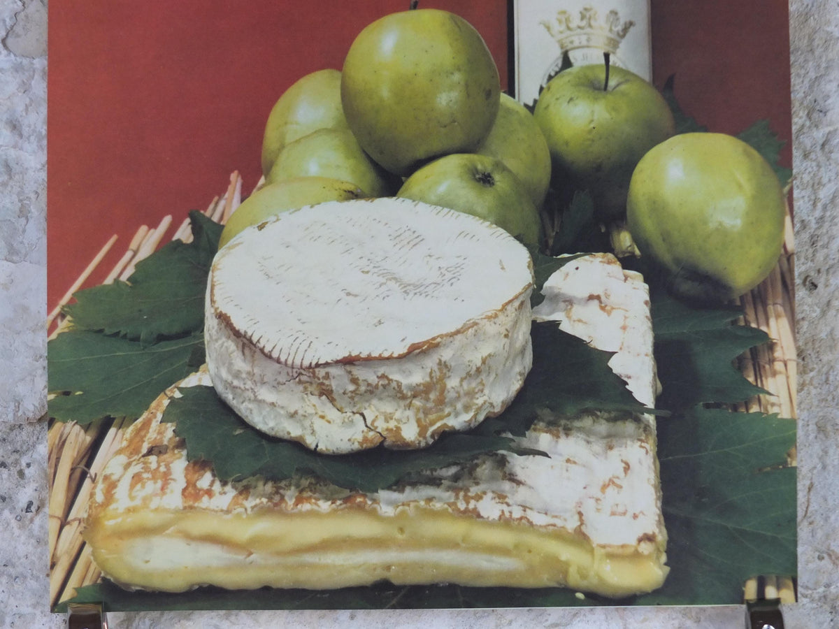 1960s Cheeses of France Poster, soft cheeses with apples, Fromages de France, TRIMMED, cheesemaking, Haut Medoc, kitchenalia wall art decor