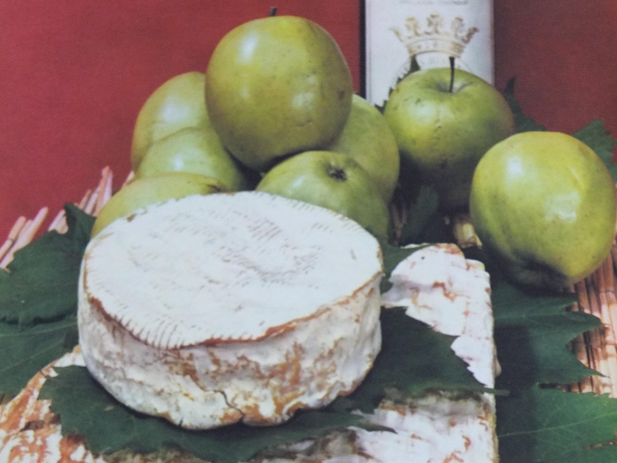 1960s Cheeses of France Poster, soft cheeses with apples, Fromages de France, TRIMMED, cheesemaking, Haut Medoc, kitchenalia wall art decor
