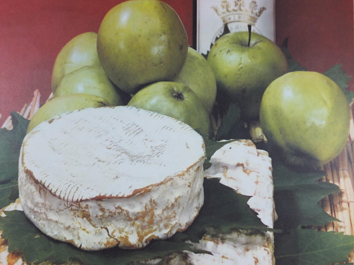 1960s Cheeses of France Poster, soft cheeses with apples, Fromages de France, cheesemaking, Haut Medoc, kitchenalia wall art decor