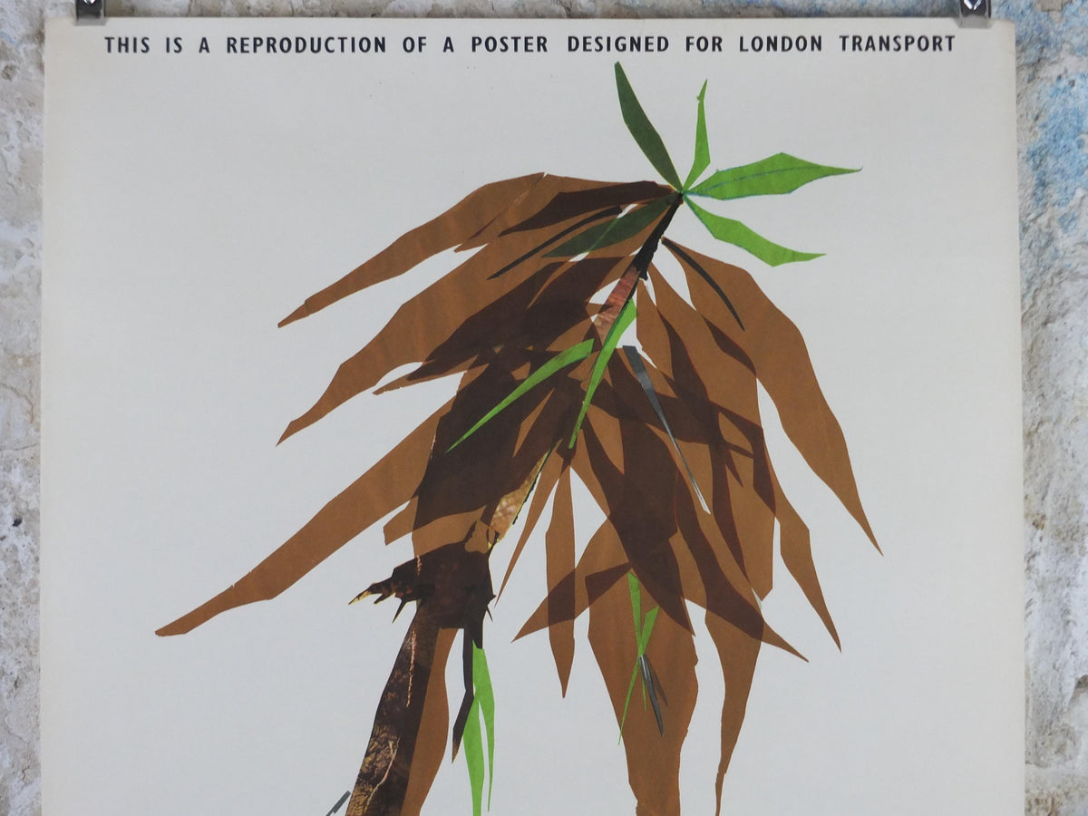 1964 Kew Gardens Poster, London Underground, Royal Botanic Gardens, euphorbia plant, by Mary Kessell, The Tube, travel wall art decor