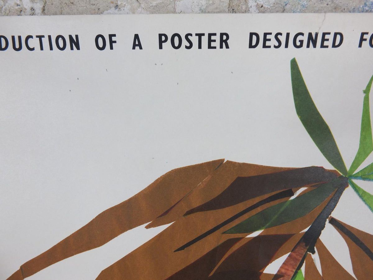 1964 Kew Gardens Poster, London Underground, Royal Botanic Gardens, euphorbia plant, by Mary Kessell, The Tube, travel wall art decor