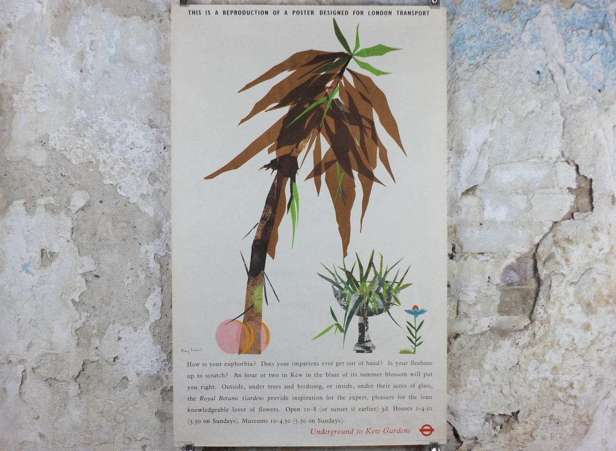 1964 Kew Gardens Poster, London Underground, Royal Botanic Gardens, euphorbia plant, by Mary Kessell, The Tube, travel wall art decor