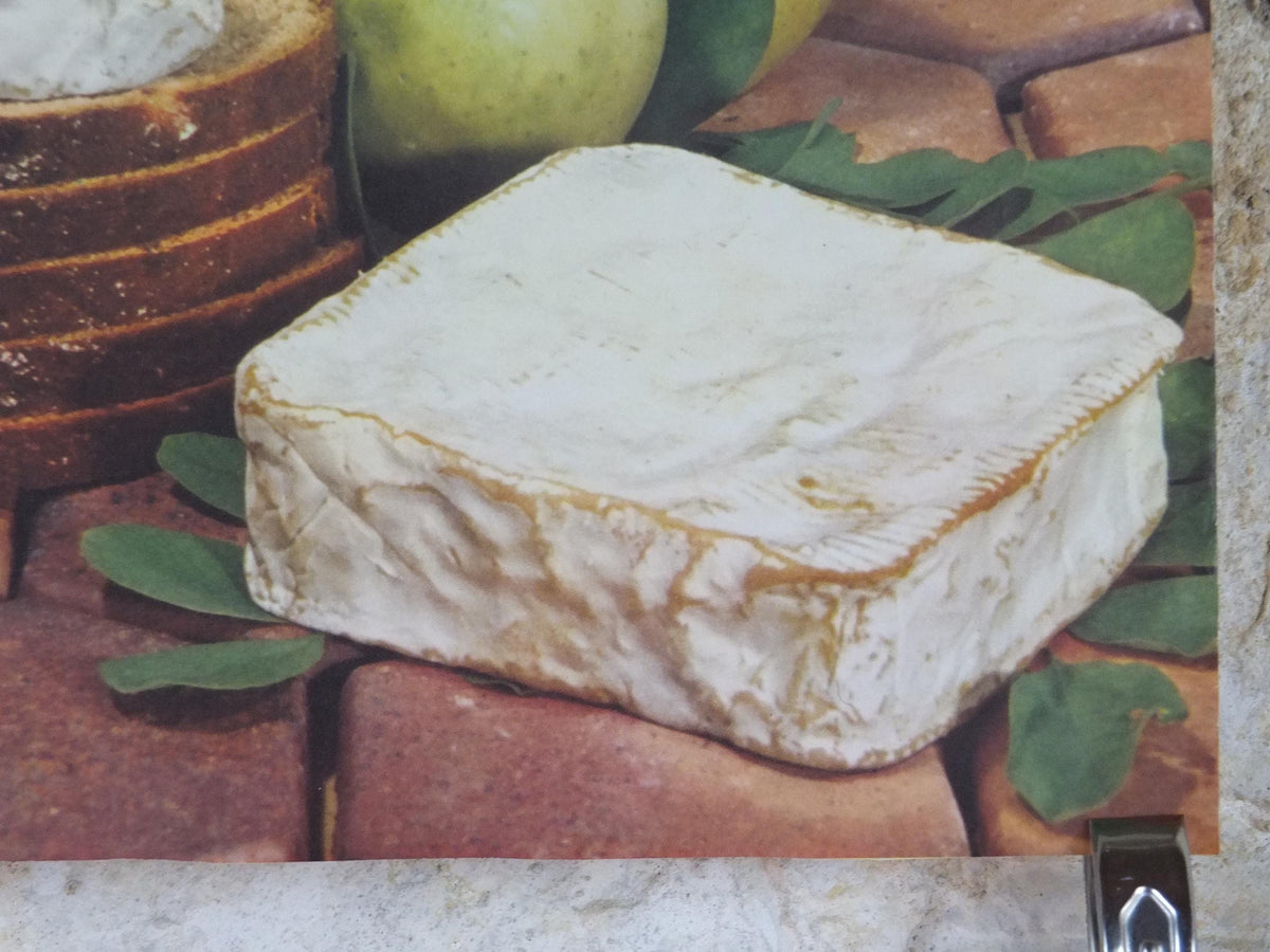 1960s Cheeses of France Poster, soft cheeses with apples, Fromages de France, TRIMMED, cheesemaking, Bordeaux, kitchenalia wall art decor