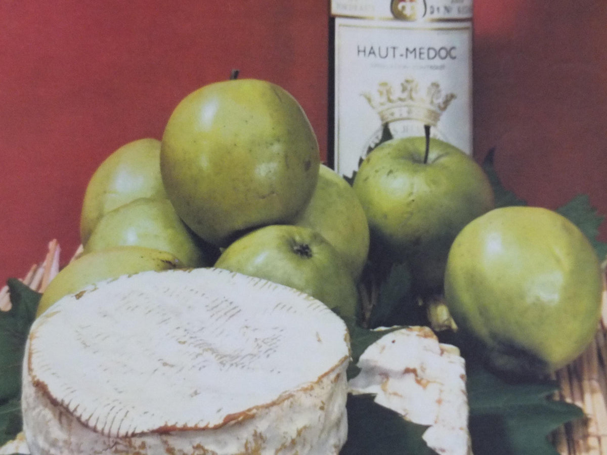 1960s Cheeses of France Poster, soft cheeses with apples, Fromages de France, TRIMMED, cheesemaking, Haut Medoc, kitchenalia wall art decor