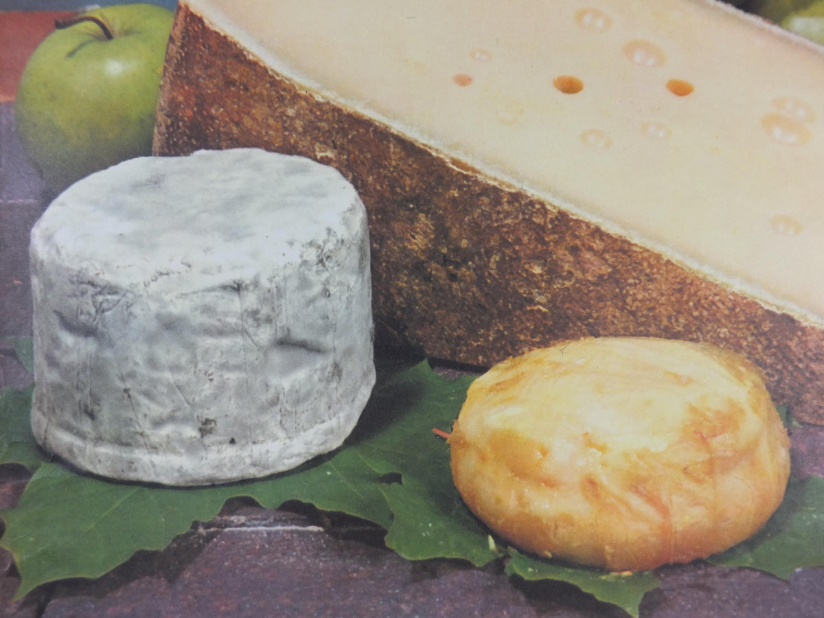 1960s Cheeses of France Poster, Comte cheeses & apples, Fromages de France, TRIMMED, cheesemaking, Saint-Emelion, kitchenalia wall art decor