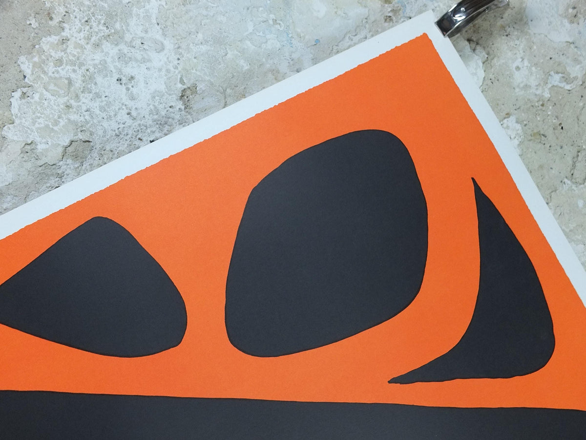 1971 Alexander Calder Poster, The Frog and the Sea, La Grenouille et La Scie, 1969, Innovative Mobiles artist, gallery wall art decor