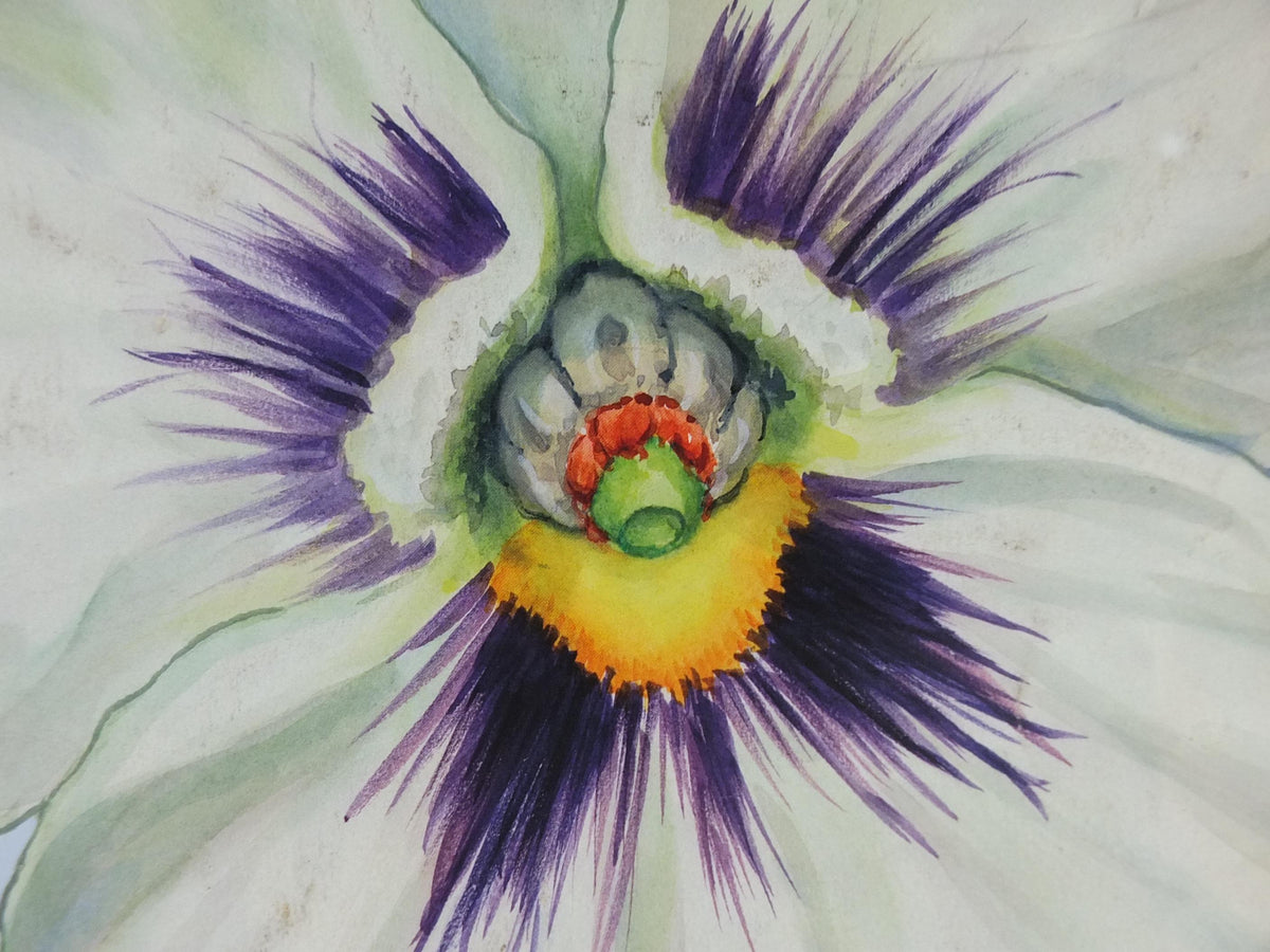 2009 Pansies Poster, Violas, The Origin of Cultivated Species. 150th anniversary of Darwin, Garden botanical Pansy blooms, wall art decor