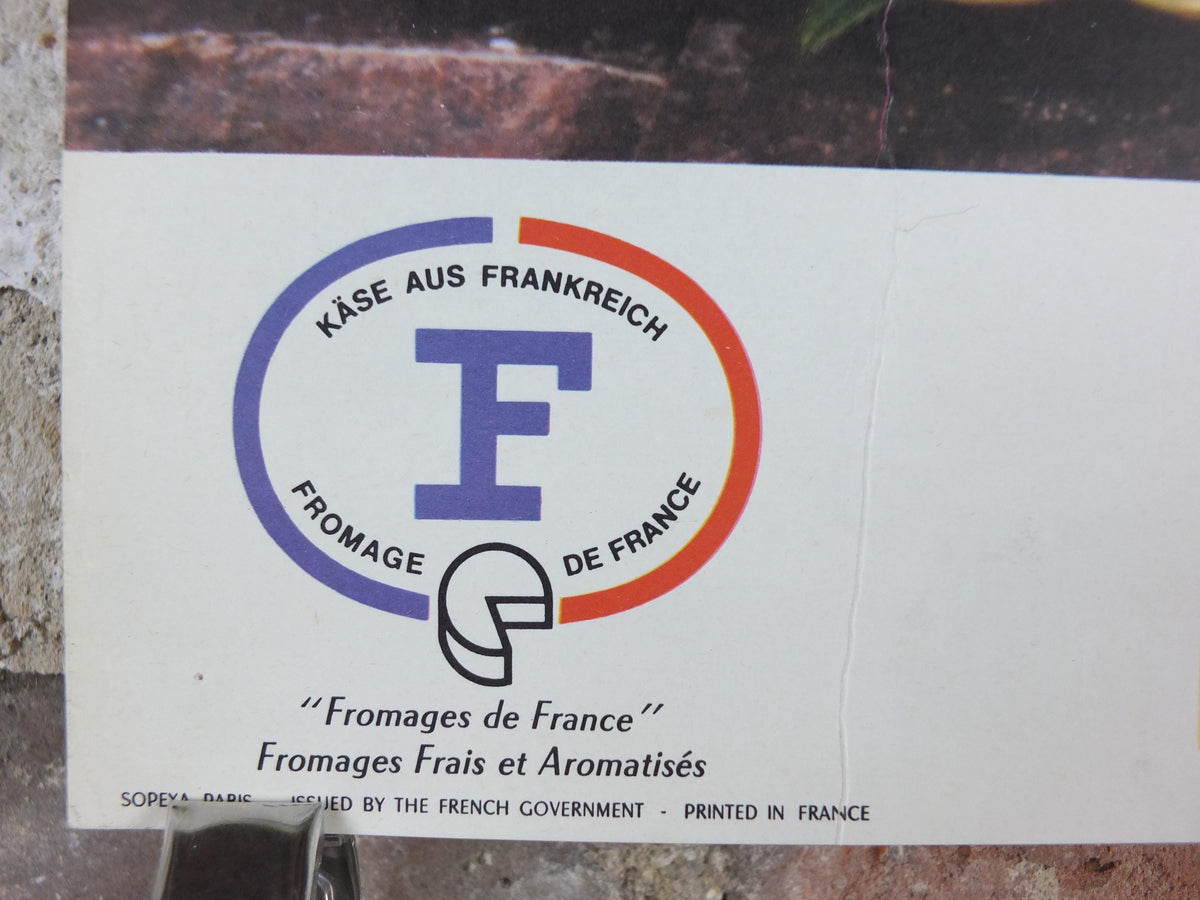 1960s Cheeses of France Poster, soft cheeses & apples, Fromages de France, cheesemaking, Saint-Emelion, kitchenalia wall art decor