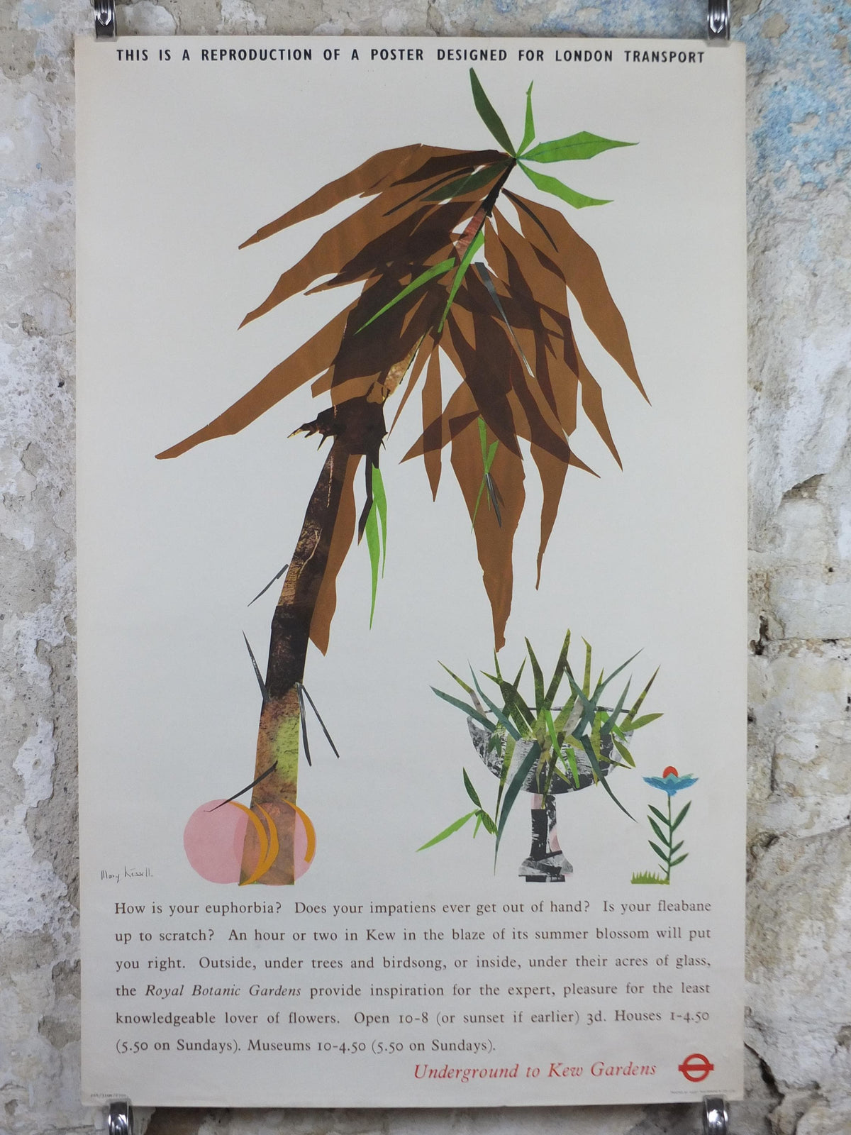 1964 Kew Gardens Poster, London Underground, Royal Botanic Gardens, euphorbia plant, by Mary Kessell, The Tube, travel wall art decor