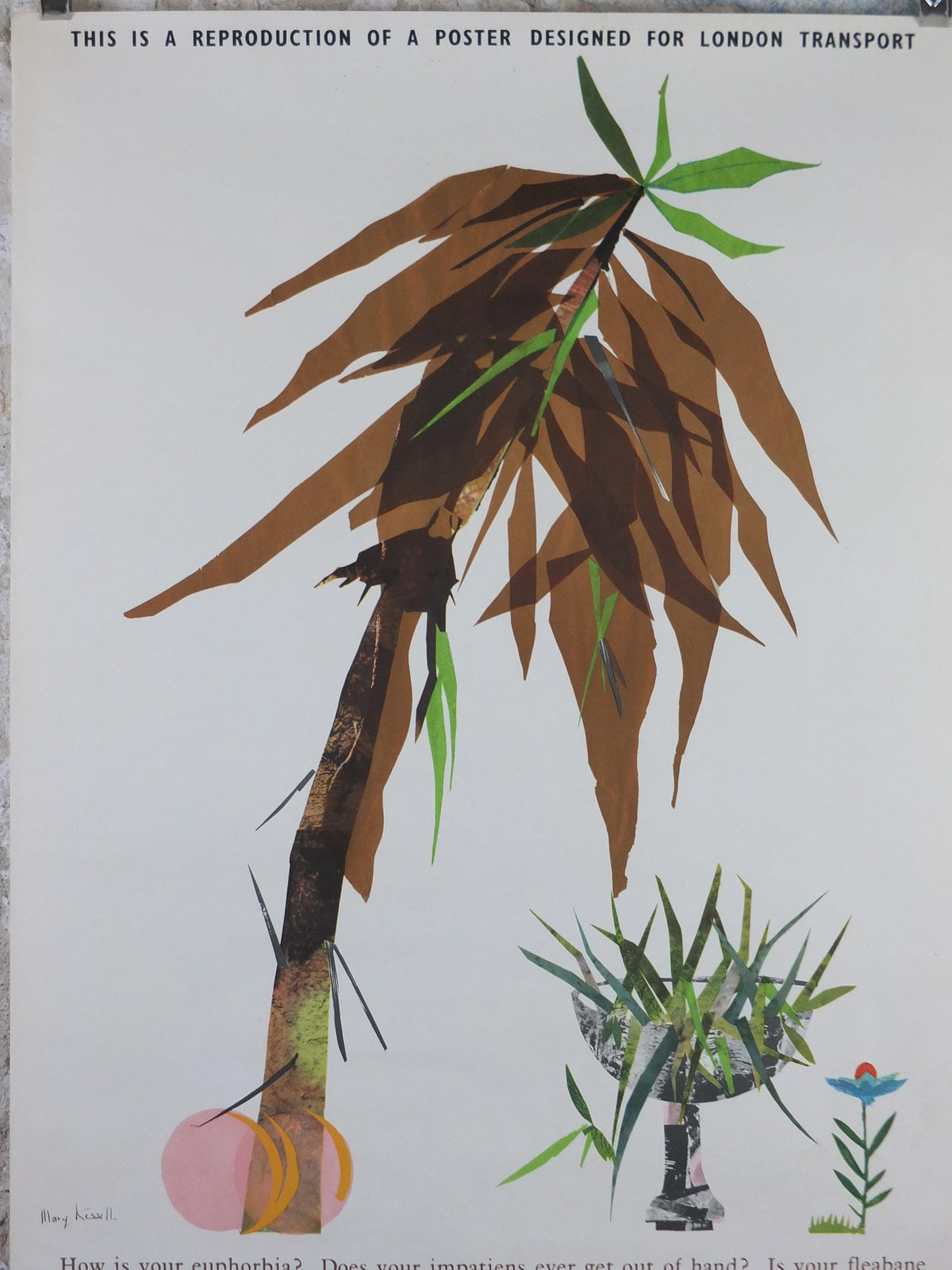 1964 Kew Gardens Poster, London Underground, Royal Botanic Gardens, euphorbia plant, by Mary Kessell, The Tube, travel wall art decor