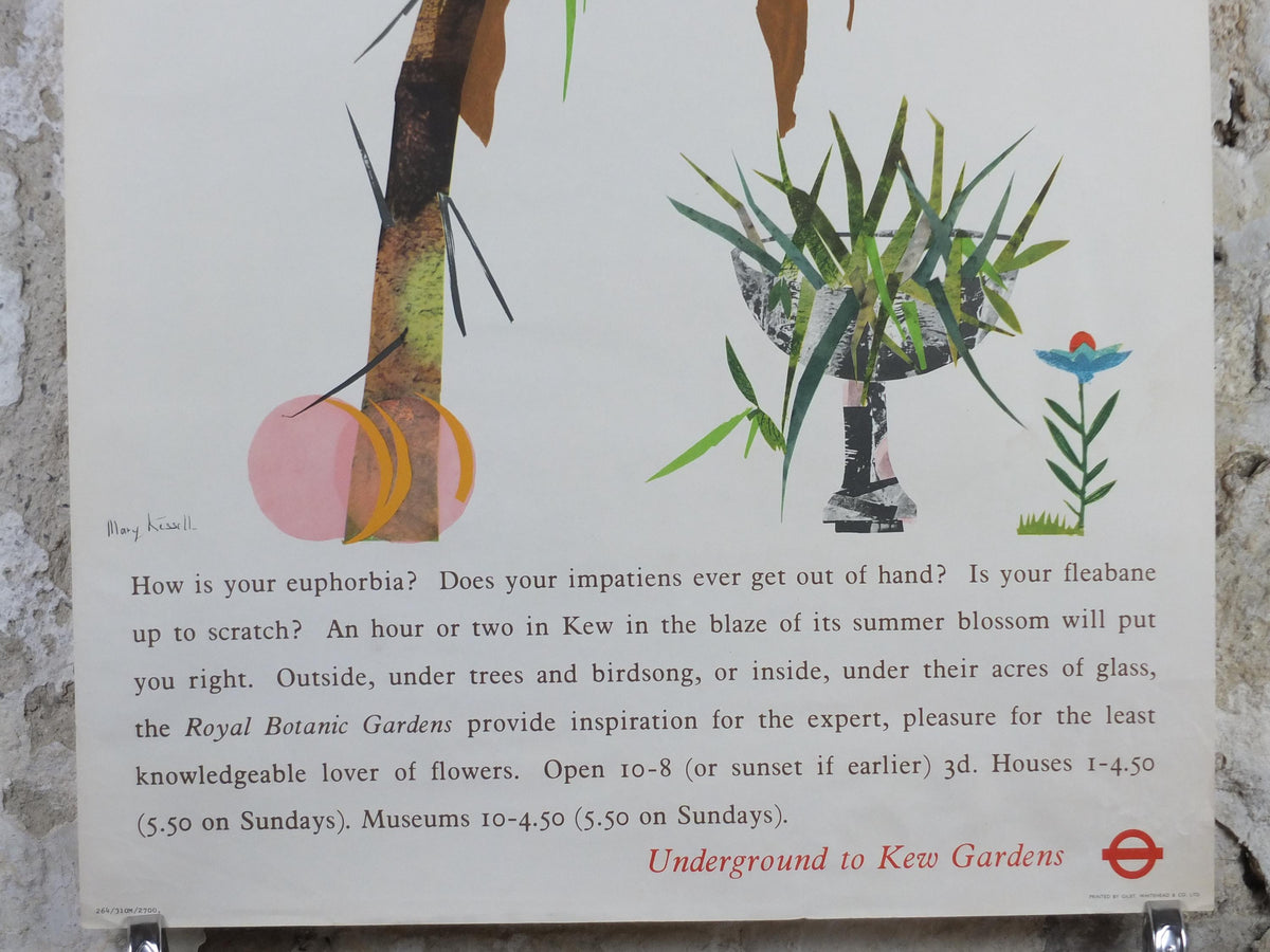 1964 Kew Gardens Poster, London Underground, Royal Botanic Gardens, euphorbia plant, by Mary Kessell, The Tube, travel wall art decor
