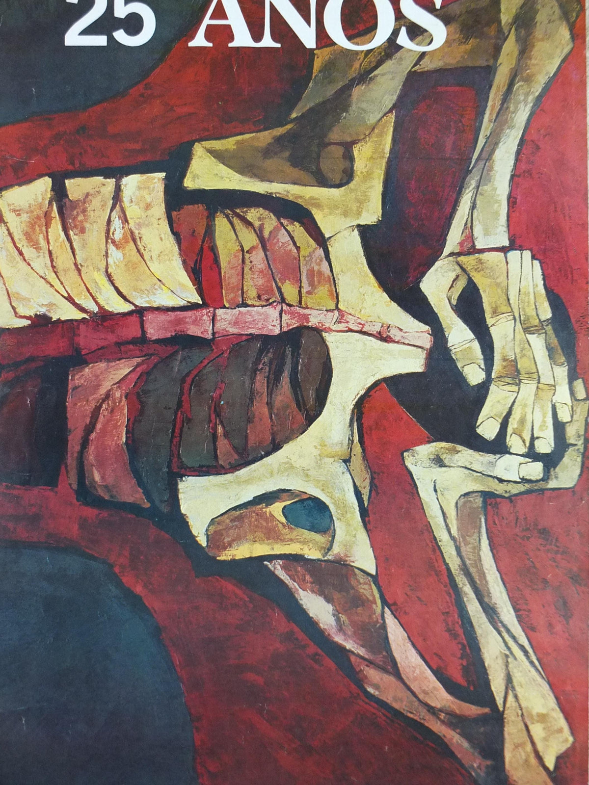 1986 Amnesty International Poster, by Oswaldo Guayasamín, 25th Anniversary, Human Rights, wall art decor