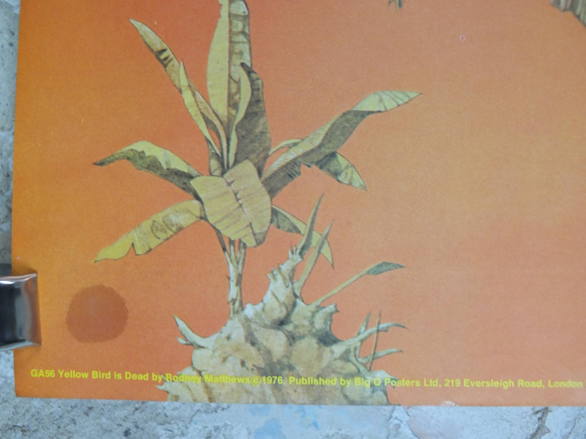 1976 Yellow Bird is Dead Poster, 20th Century Steel Band, Pterodactyl by Rodney Matthews, epic adventure art, dinosaur, scifi wall art decor