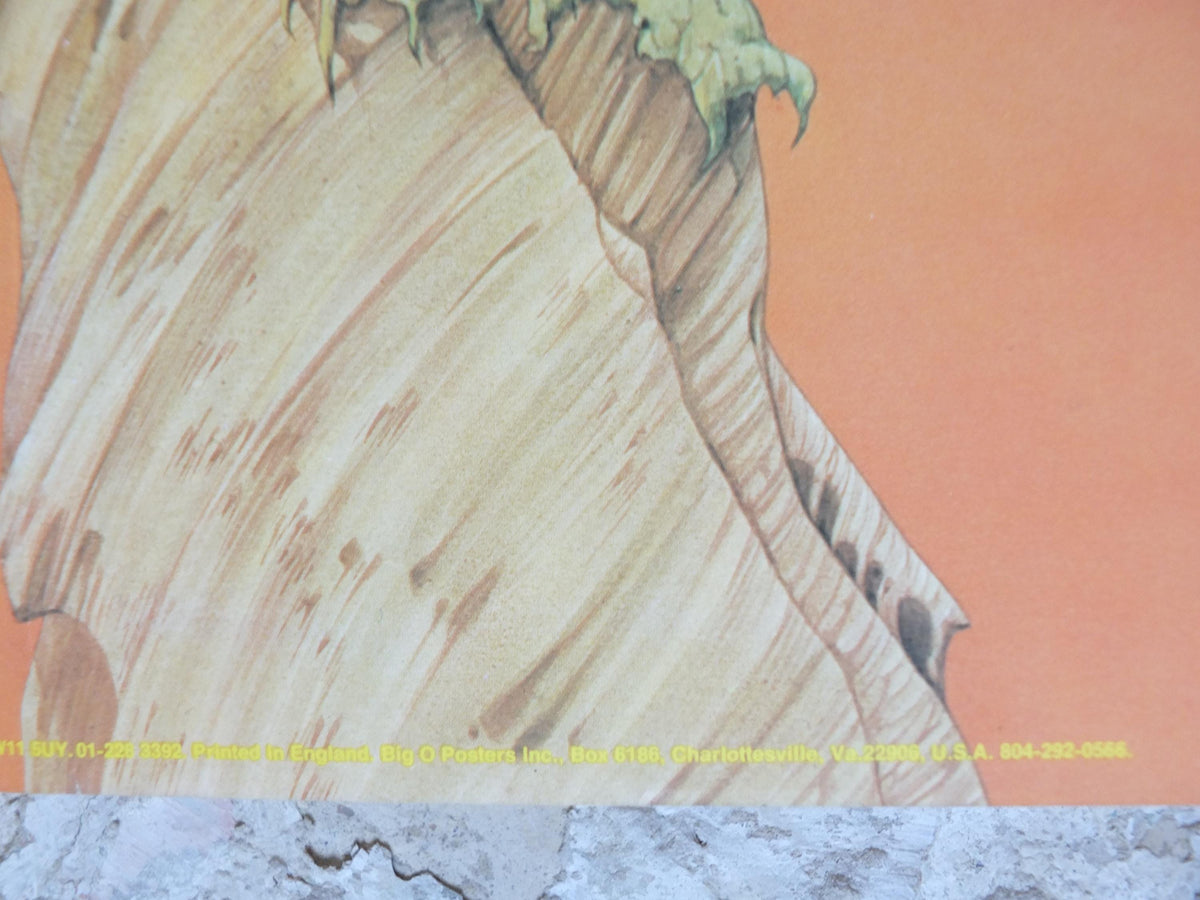 1976 Yellow Bird is Dead Poster, 20th Century Steel Band, Pterodactyl by Rodney Matthews, epic adventure art, dinosaur, scifi wall art decor