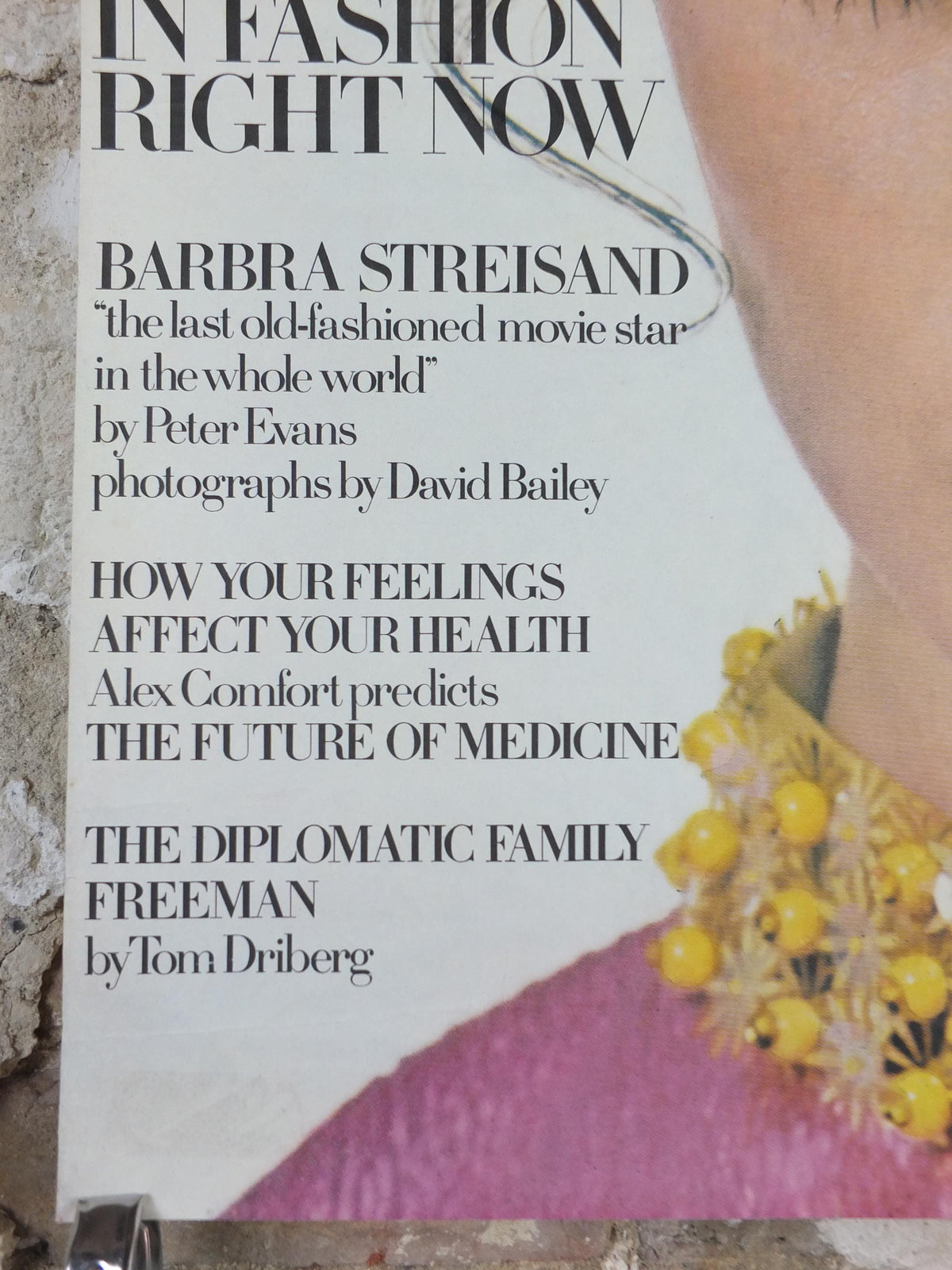 1968 Vogue Magazine Cover Poster, Moyra Swan, November 1968, British Vogue, David Bailey, fashion Advertising wall art decor