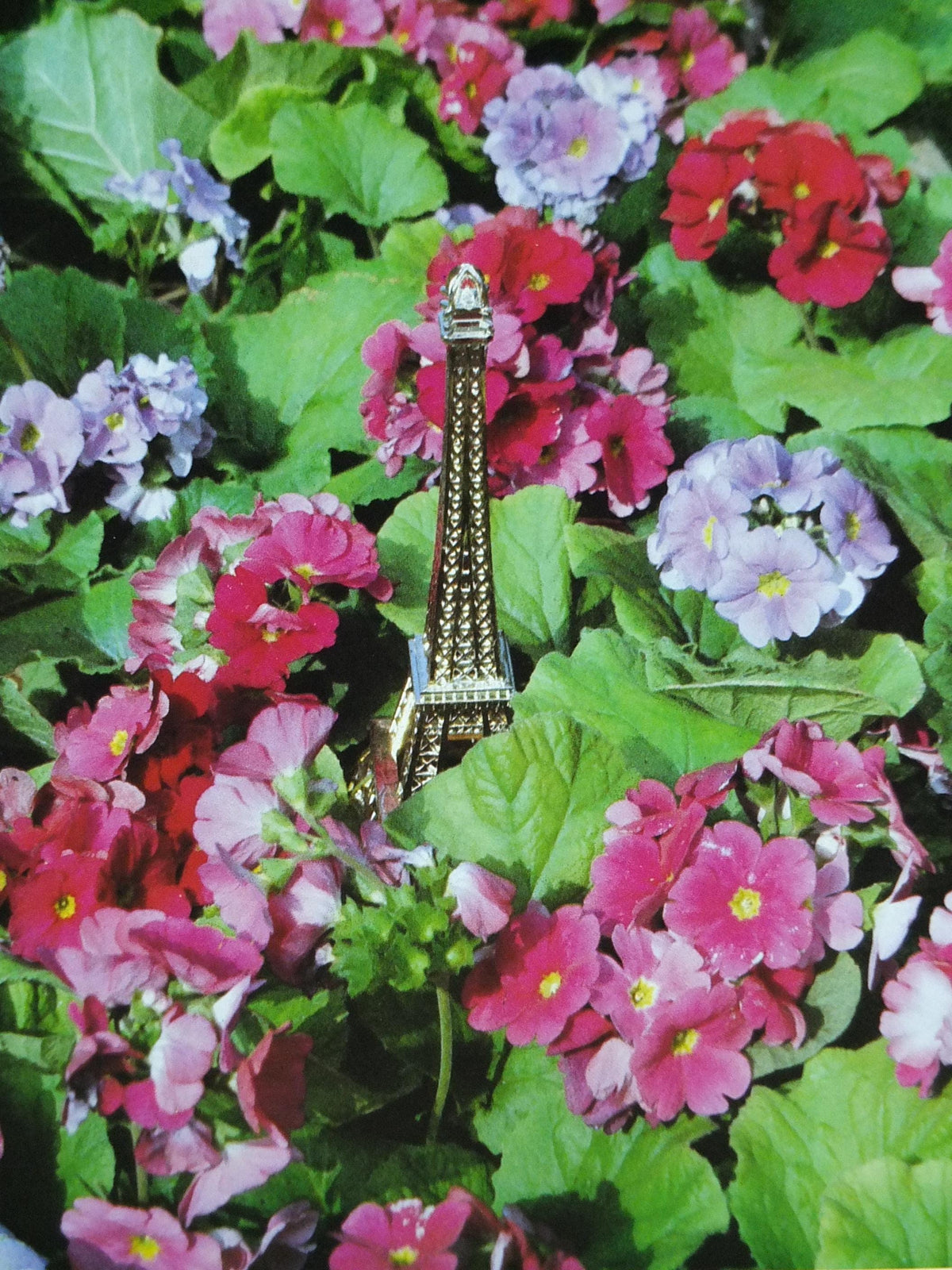 1984 Gardens of Paris Poster, Primula Mairie de Paris Flower Show, Trianon Paris, Garden botanical flora plants blooms, wall art decor