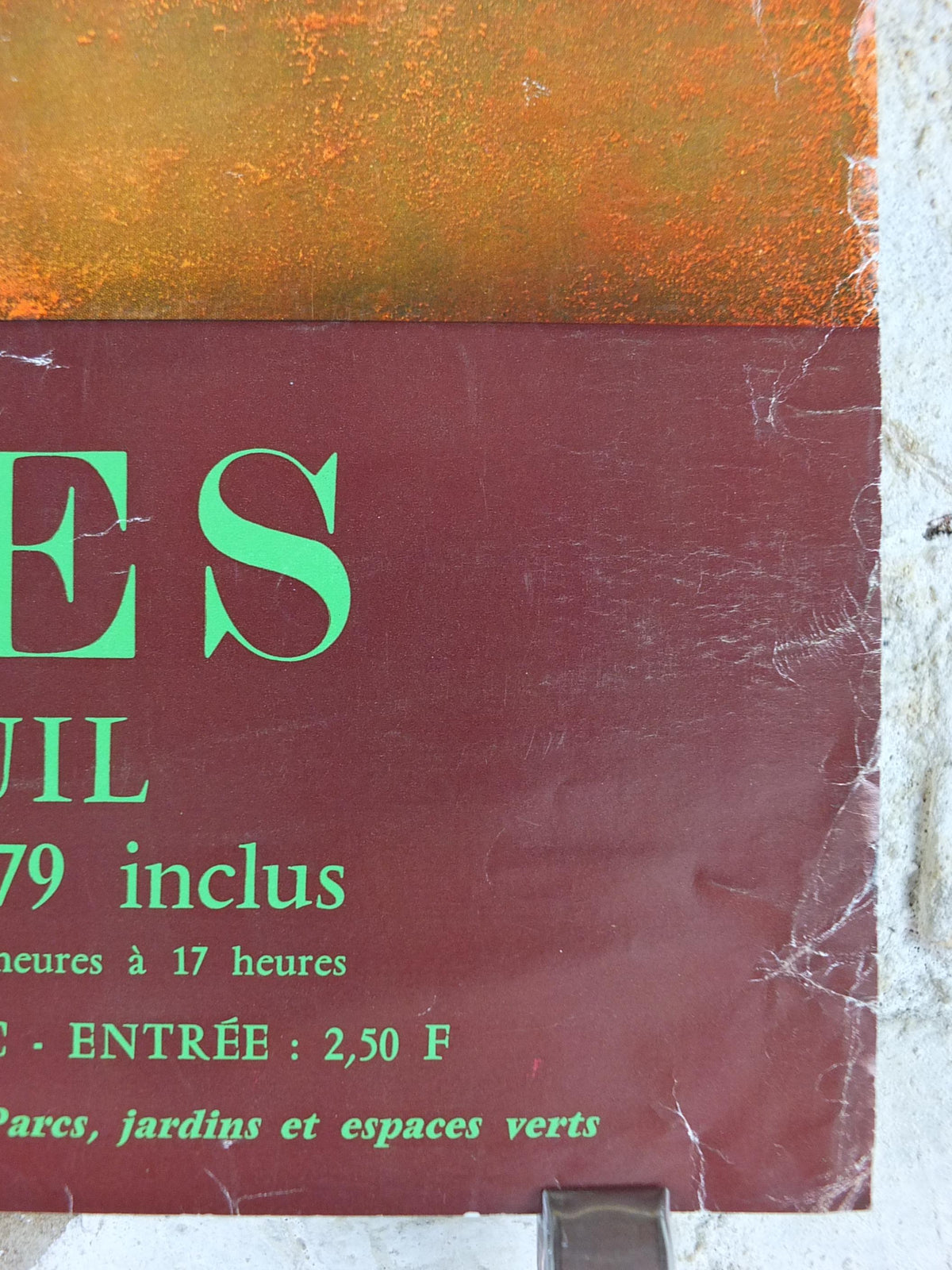 1979 Azaleas Poster, Azelees, Mairie de Paris Flower Show, Porte d'Auteuil, Jardin des Serres d'Auteuil, Garden botanical, wall art decor