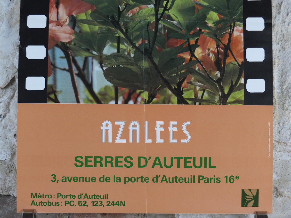 1986 Azaleas Poster, Azelees, Mairie de Paris Flower Show, Porte d'Auteuil, Jardin des Serres d'Auteuil, Garden botanical, wall art decor