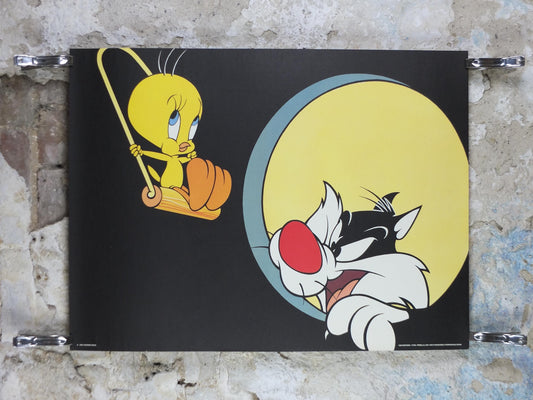 1995 Sylvester the Cat and Tweety Bird Poster, Looney Tunes and Merrie Melodies by Warner Bros, cartoon and comic wall art decor