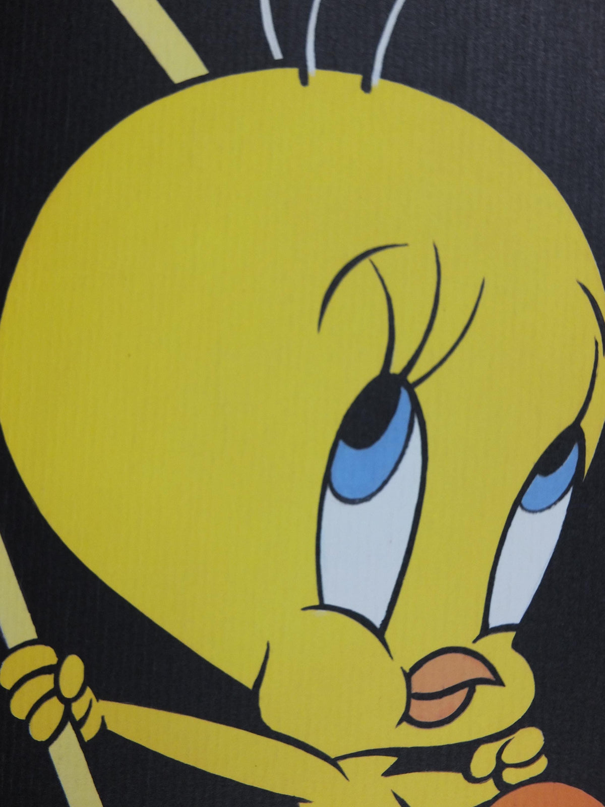 1995 Sylvester the Cat and Tweety Bird Poster, Looney Tunes and Merrie Melodies by Warner Bros, cartoon and comic wall art decor