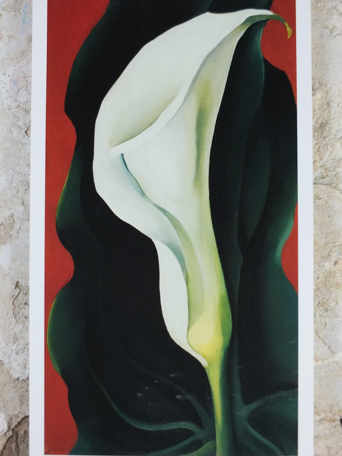 2000 Georgia O'Keeffe Poster, Single Lily with Red 1928, American modernism, Precisionism, gallery exhibition wall art decor