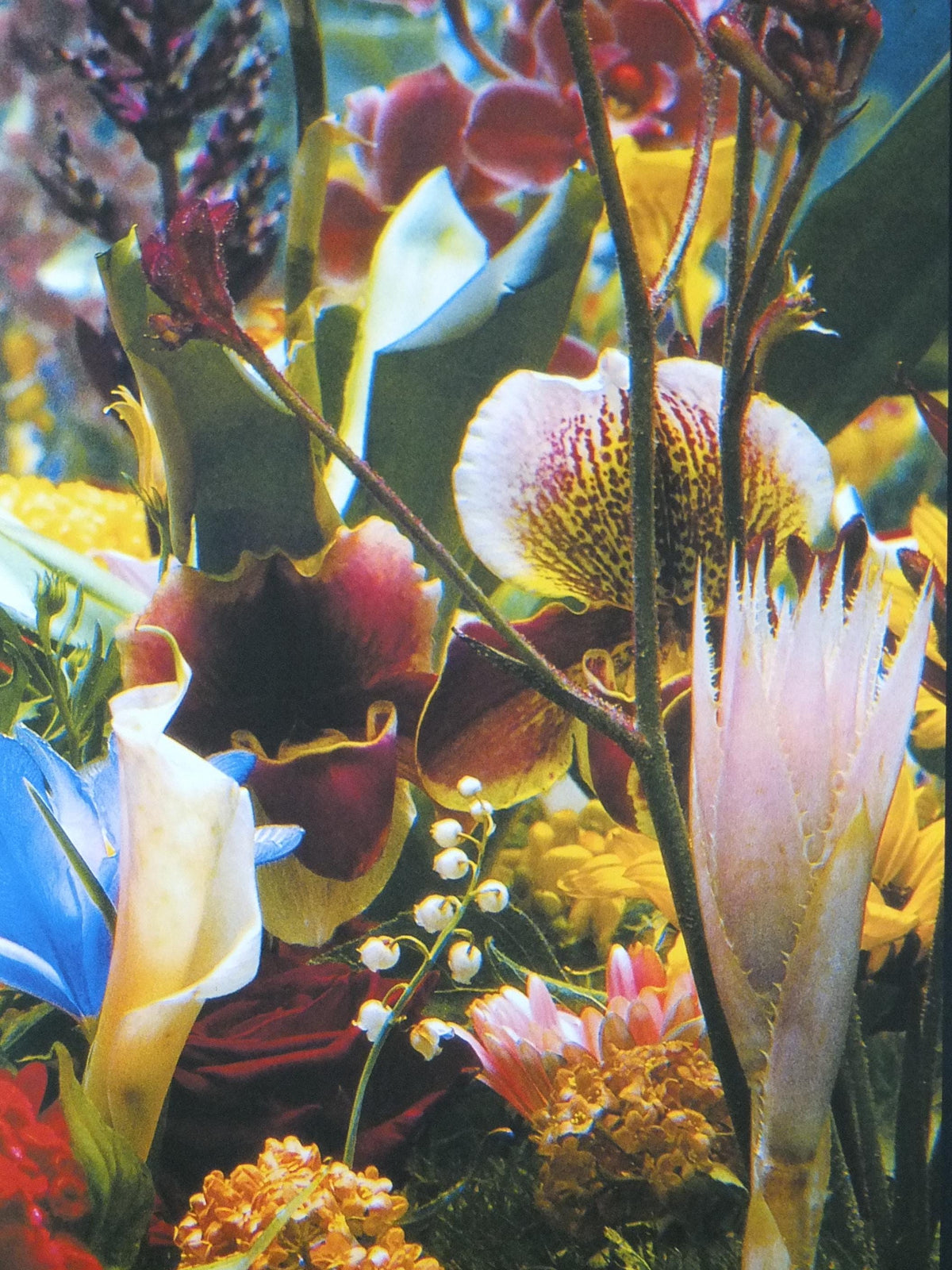 2004 Marc Quinn Poster, Flowers as an Image, Detail of Italian Landscape 2000, Garden, Louisiana Museum of Modern Art retro wall art decor
