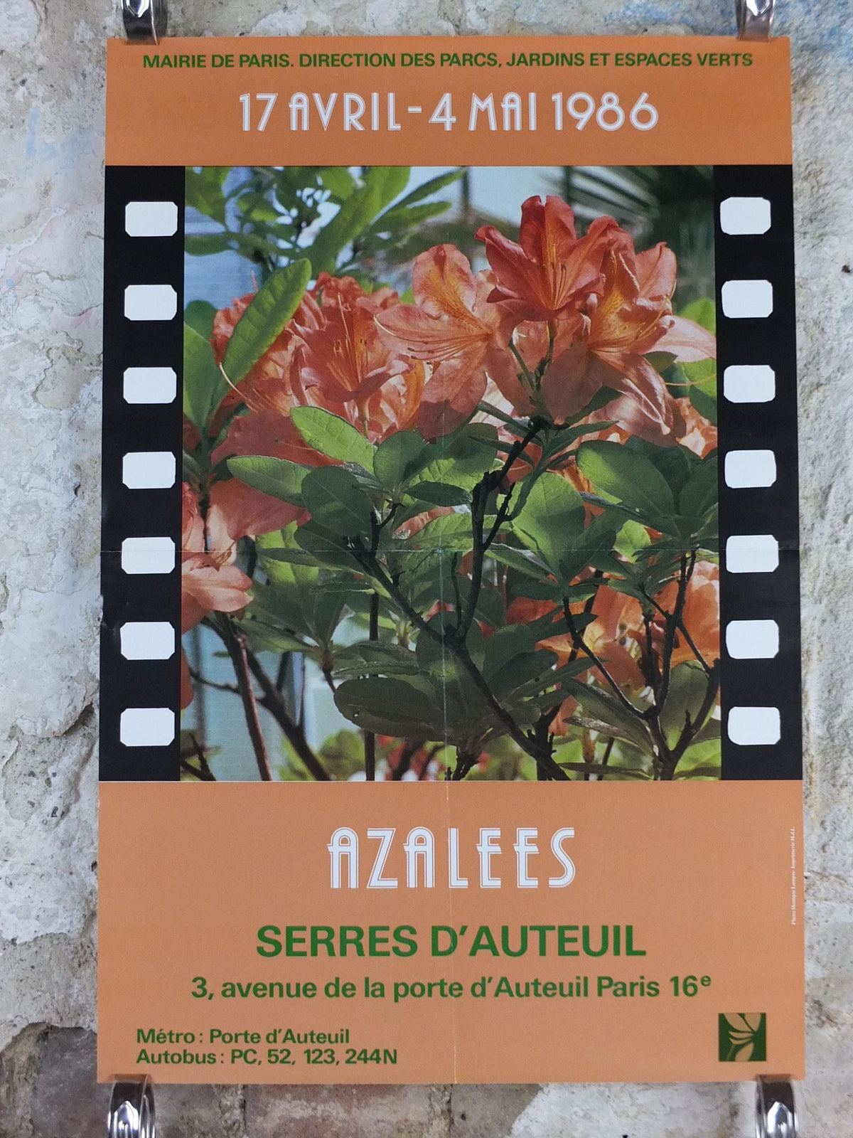 1986 Azaleas Poster, Azelees, Mairie de Paris Flower Show, Porte d'Auteuil, Jardin des Serres d'Auteuil, Garden botanical, wall art decor