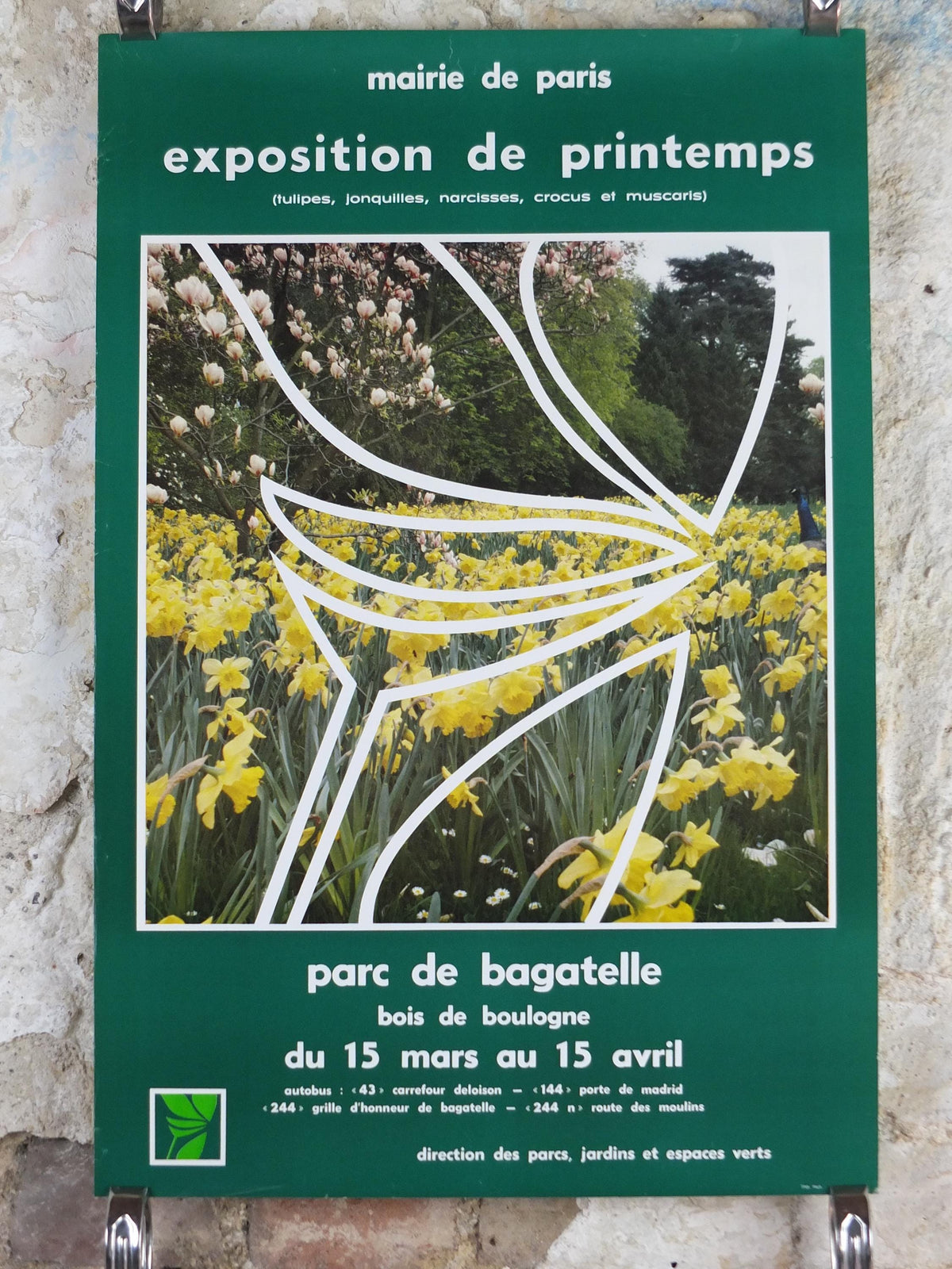 1980s Daffodils of Paris Poster, Spring Exhibition, Parc de Bagatelle Paris, Garden botanical flora plants blooms, wall art decor