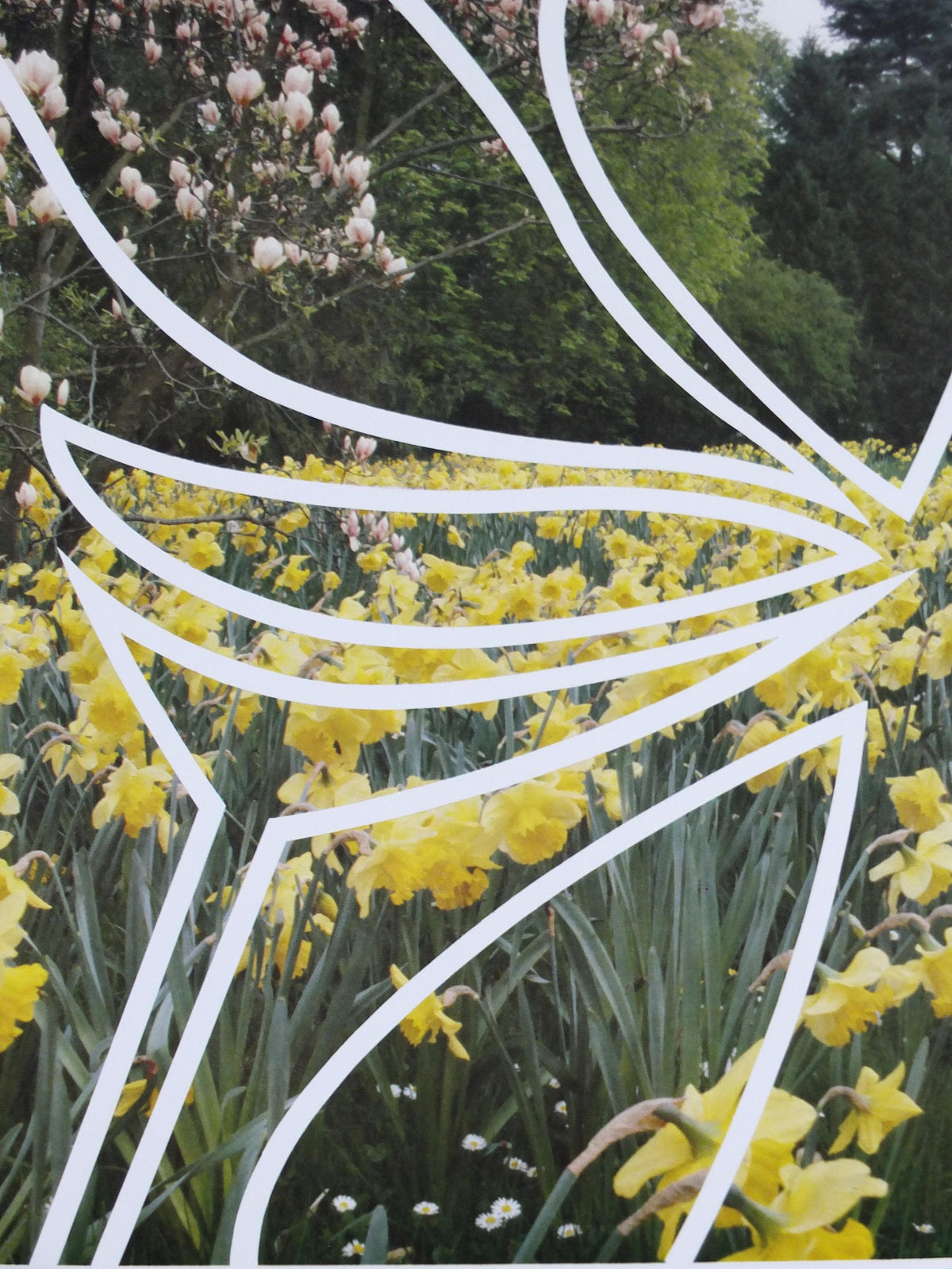 1980s Daffodils of Paris Poster, Spring Exhibition, Parc de Bagatelle Paris, Garden botanical flora plants blooms, wall art decor