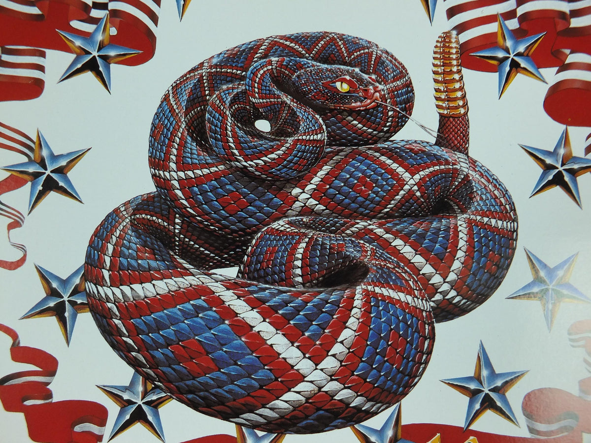 1976 American Bi-Centennial Poster, USA Dont Tread on Me 1776, American Revolution, by Stanley Mouse and Alton Kelley, music wall art decor