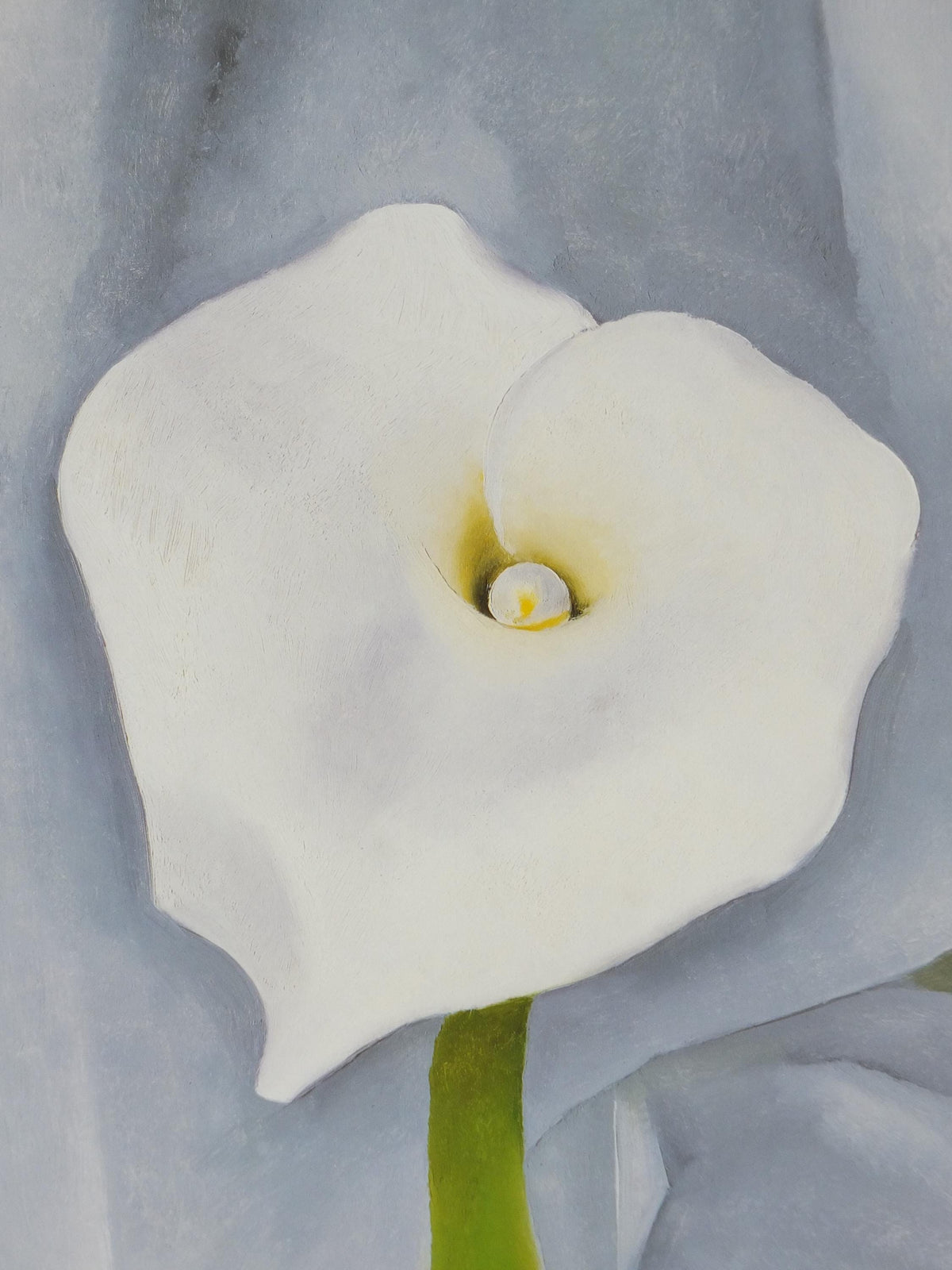 1998 Georgia O'Keeffe Poster, Calla Lily on Grey 1928, American modernism, Precisionism, gallery exhibition wall art decor