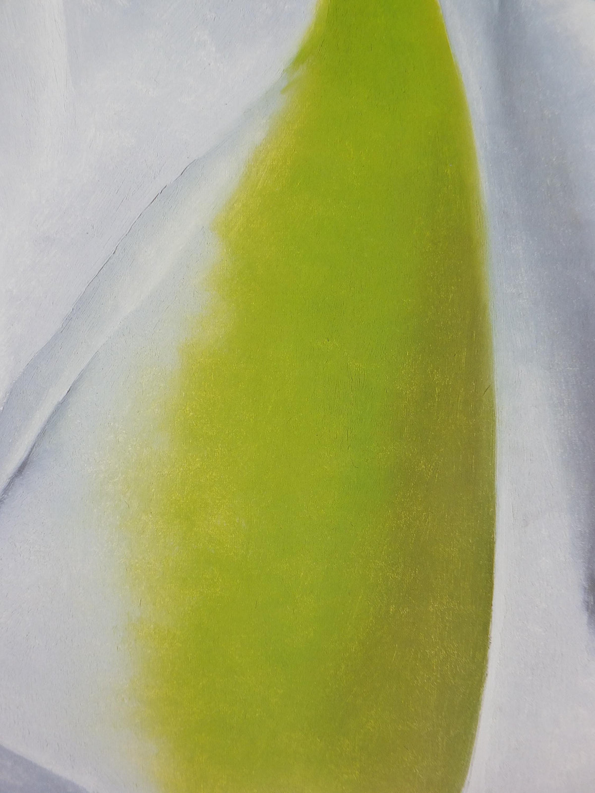 1998 Georgia O'Keeffe Poster, Calla Lily on Grey 1928, American modernism, Precisionism, gallery exhibition wall art decor