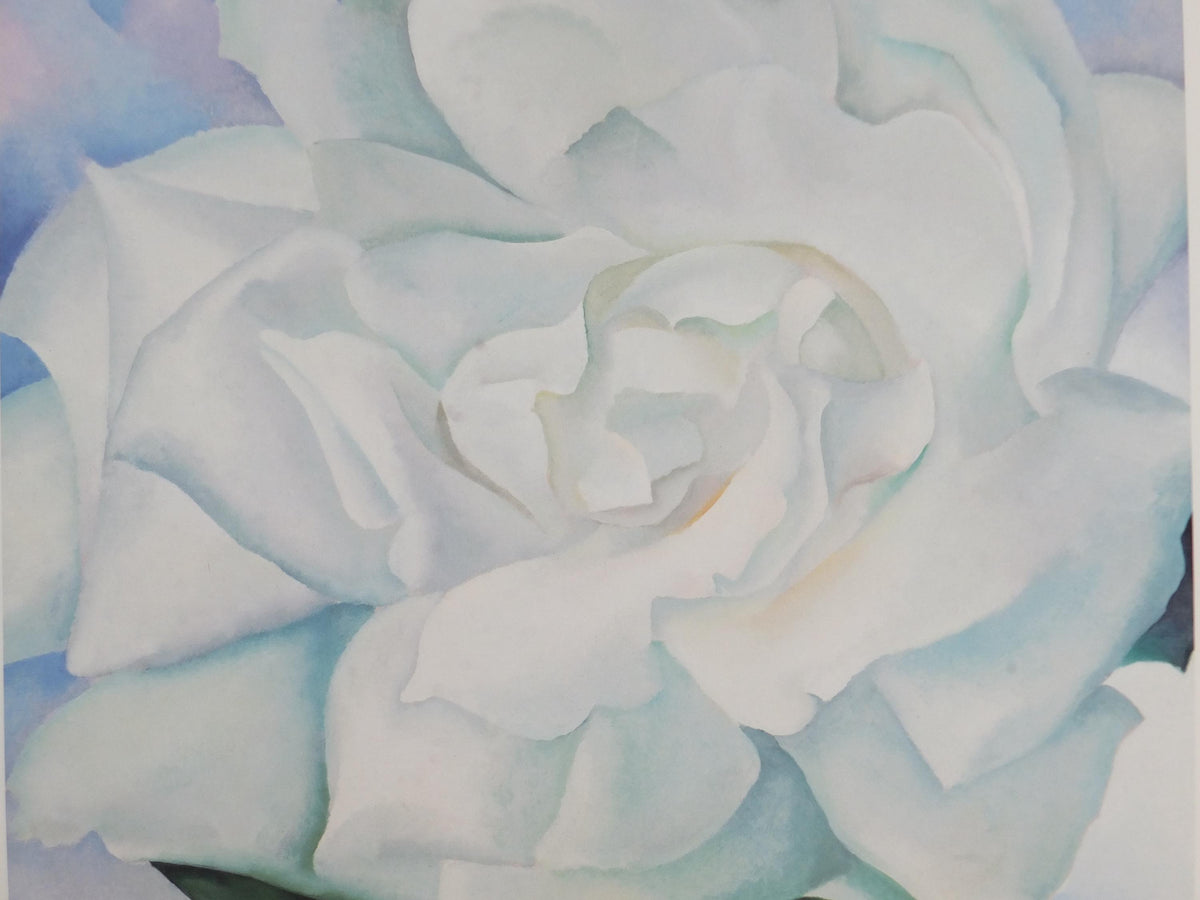 1998 Georgia O'Keeffe Poster, White Rose with Larkspur No 2 1927, American modernism, Precisionism, gallery exhibition wall art decor