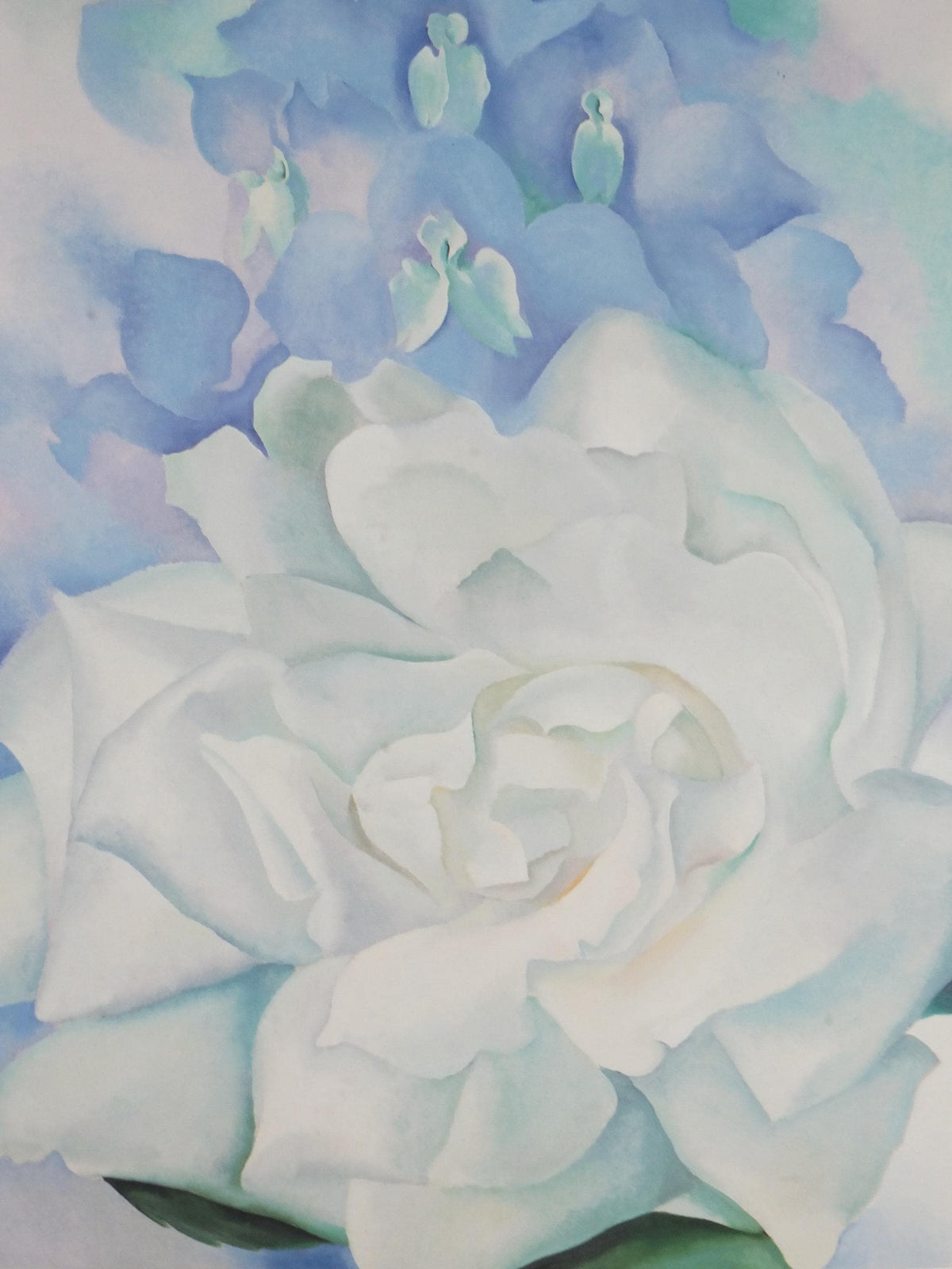 1998 Georgia O'Keeffe Poster, White Rose with Larkspur No 2 1927, American modernism, Precisionism, gallery exhibition wall art decor