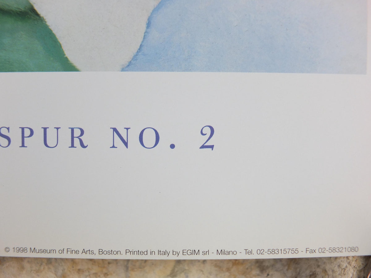 1998 Georgia O'Keeffe Poster, White Rose with Larkspur No 2 1927, American modernism, Precisionism, gallery exhibition wall art decor