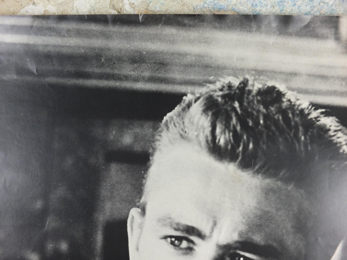 1980 James Dean Poster, Rebel without a Cause, made in Sweden by Scandecor, wall art decor