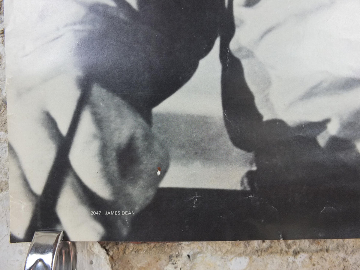 1980 James Dean Poster, Rebel without a Cause 1955, made in Sweden by Scandecor, wall art decor