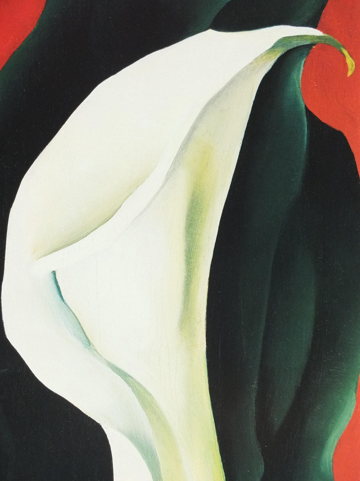 2000 Georgia O'Keeffe Poster, Single Lily with Red 1928, American modernism, Precisionism, gallery exhibition wall art decor