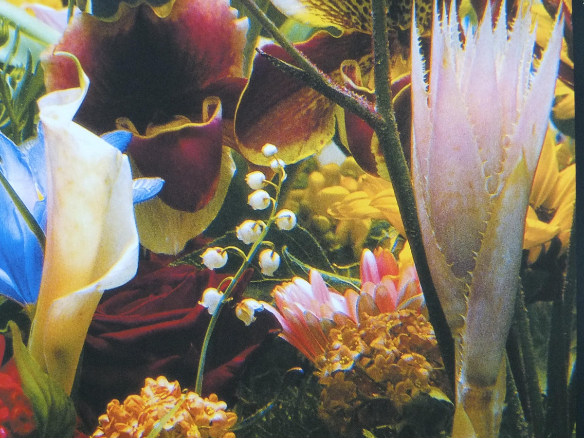 2004 Marc Quinn Poster, Flowers as an Image, Detail of Italian Landscape 2000, Garden, Louisiana Museum of Modern Art retro wall art decor
