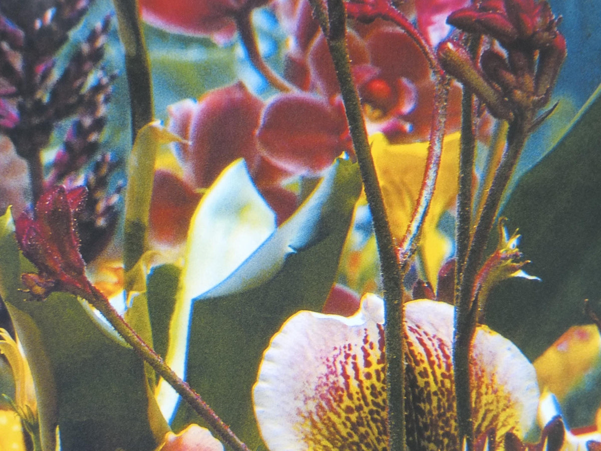 2004 Marc Quinn Poster, Flowers as an Image, Detail of Italian Landscape 2000, Garden, Louisiana Museum of Modern Art retro wall art decor